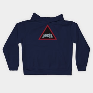 1st Armoured Division Kids Hoodie